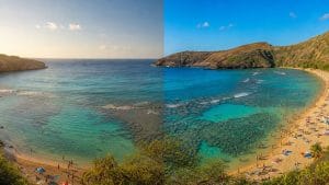 morning snorkel better booking