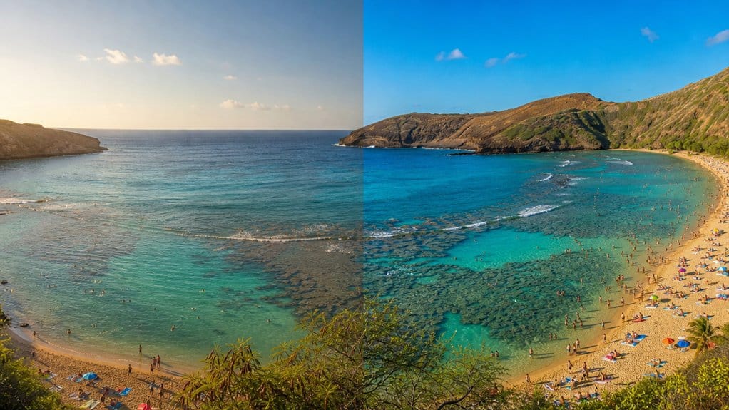 morning snorkel better booking