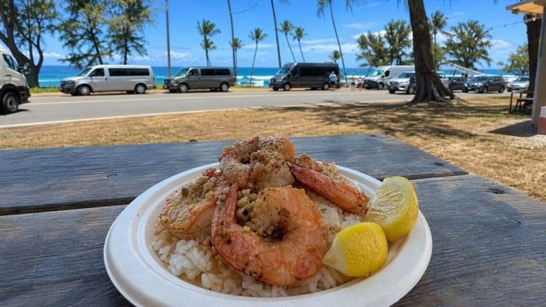 north shore garlic shrimp tours
