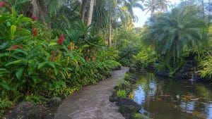oahu botanical gardens guide