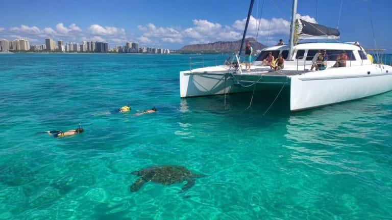 oahu catamaran snorkel turtle guarantee