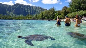 oahu circle island snorkeling