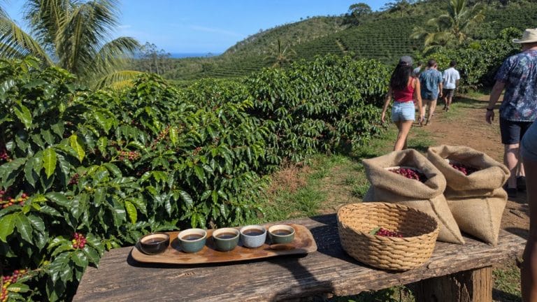 oahu coffee farm tastings