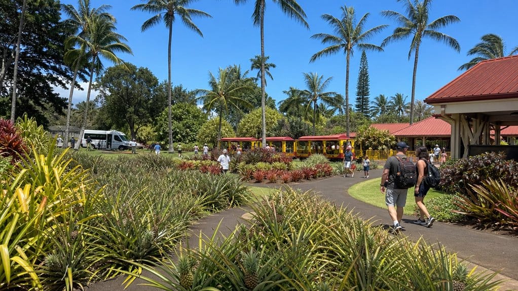 oahu dole plantation haleiwa tour