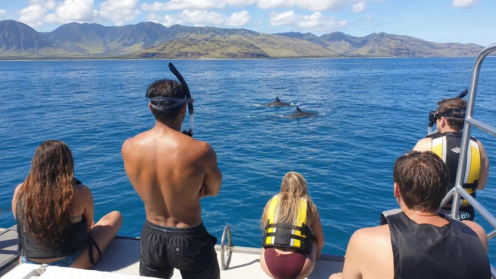 Oahu Swim With Dolphins on the West Coast: What Travelers Should Know