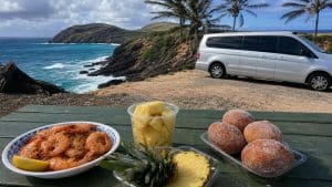 oahu scenic food tour