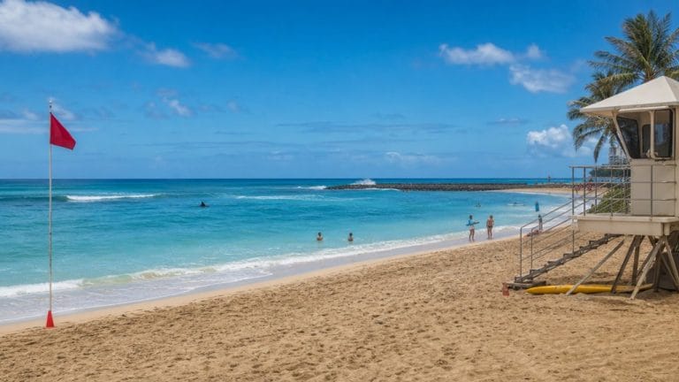 oahu shark swim safety