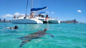oahu turtle snorkeling cruise
