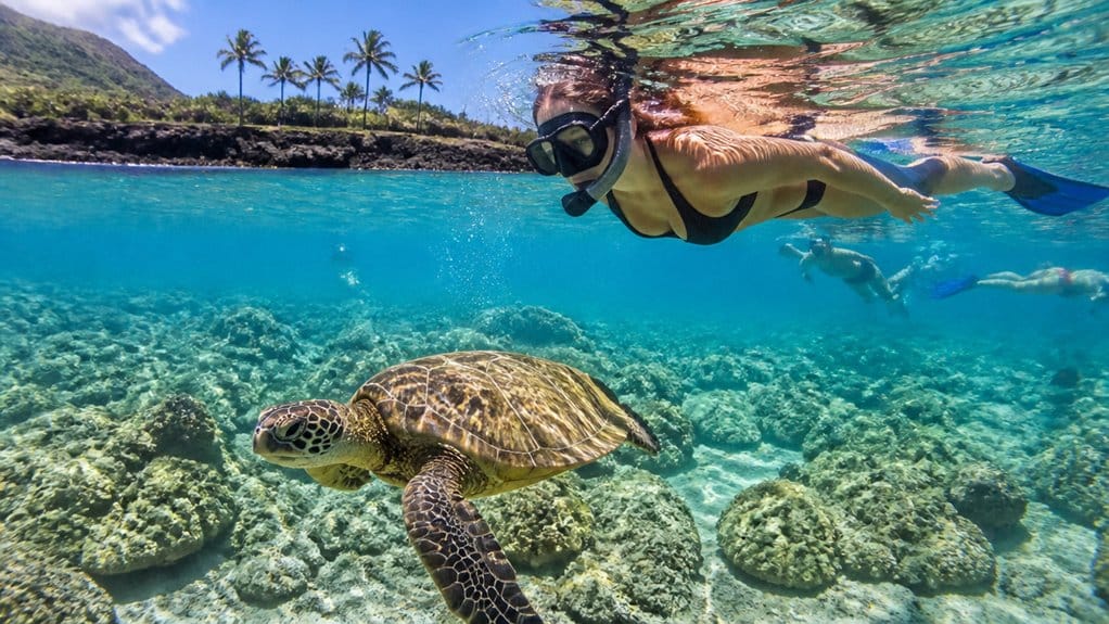 oahu turtle snorkeling locations