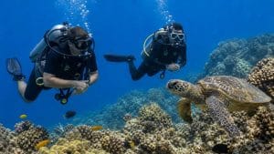oahu two tank certified dives