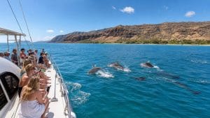 oahu west side dolphin cruises