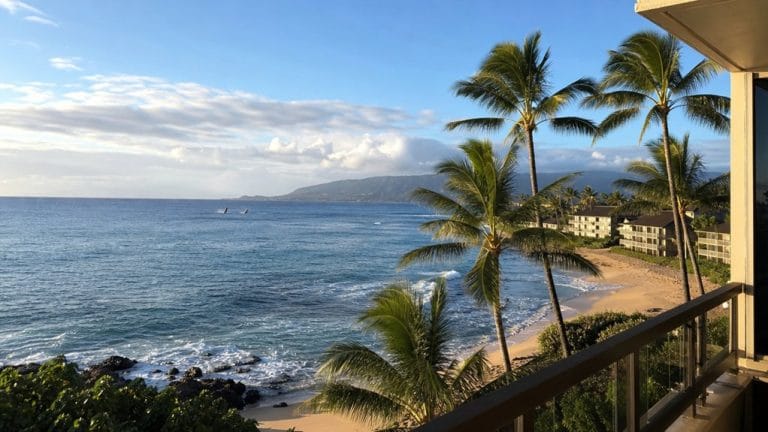oahu winter whale watching bases