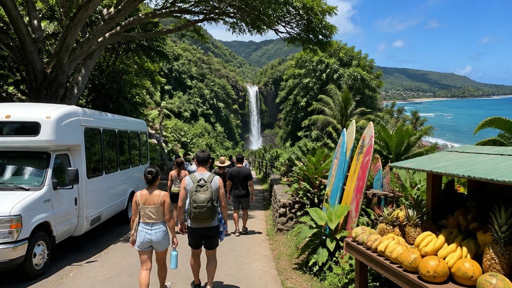 private north shore surf tour