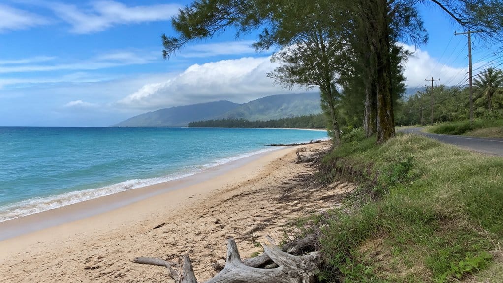 quiet waialua north shore views