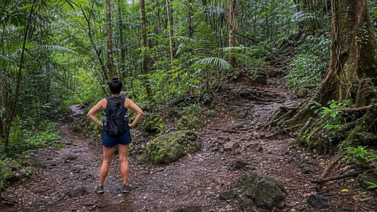seven manoa hiking trails