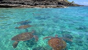 short underwater scuba site