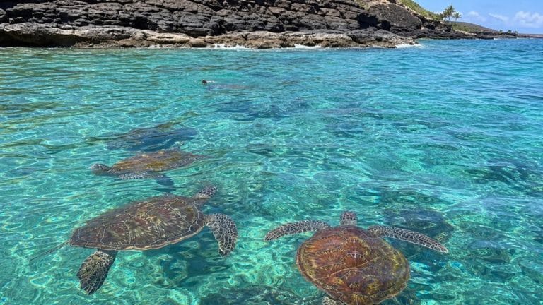 short underwater scuba site