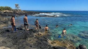 snorkel safely at shark cove
