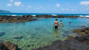 snorkeling plan for shark s cove
