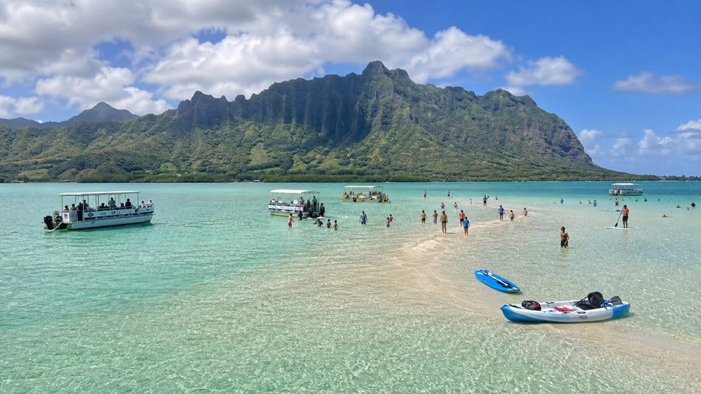 top 10 kaneohe sandbar tours
