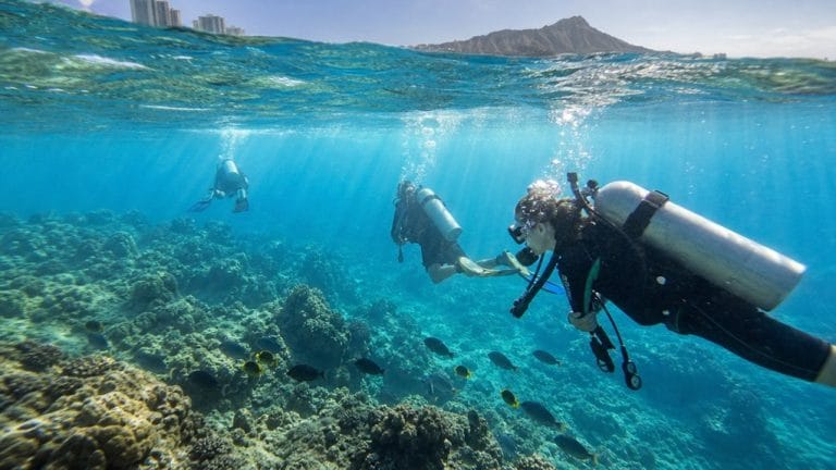 top waikiki scuba tours