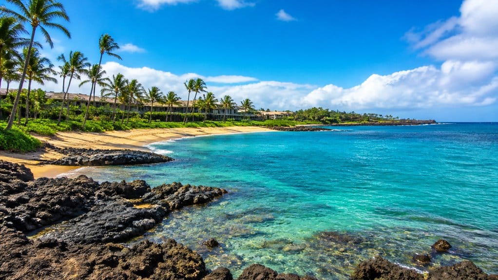turtle bay north shore