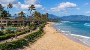 turtle bay resort highlights