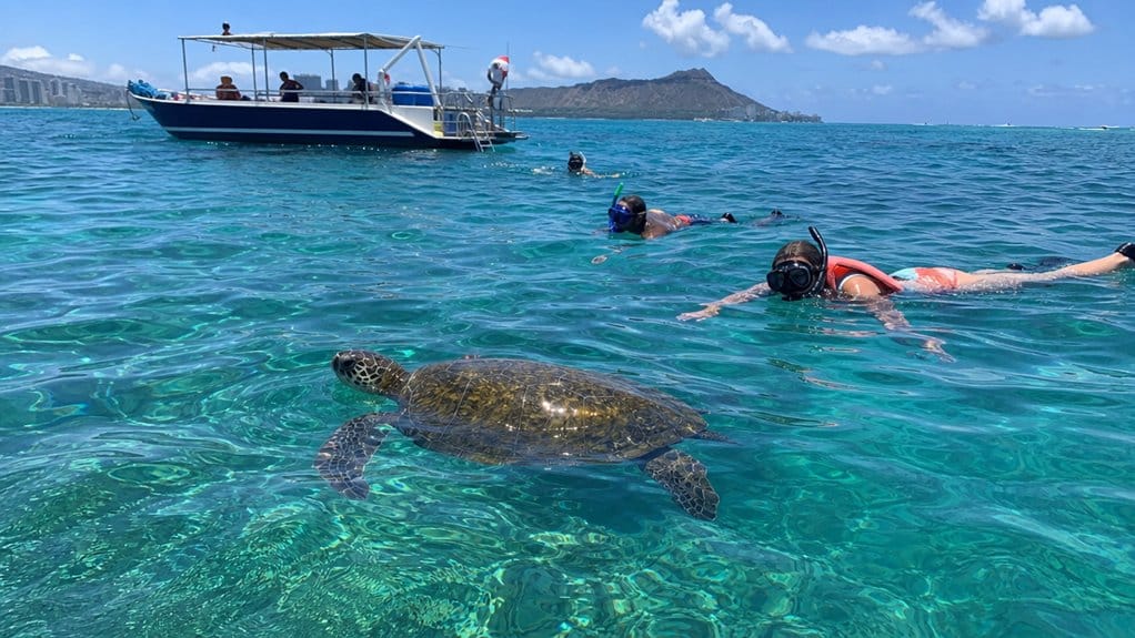 turtle canyon oahu snorkeling details