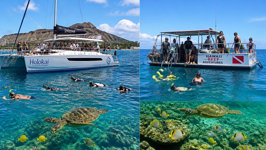 turtle snorkeling with wildlife