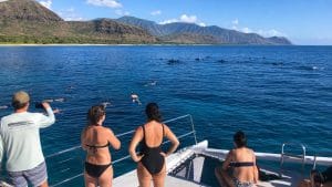 waianae dolphin snorkel whale tours