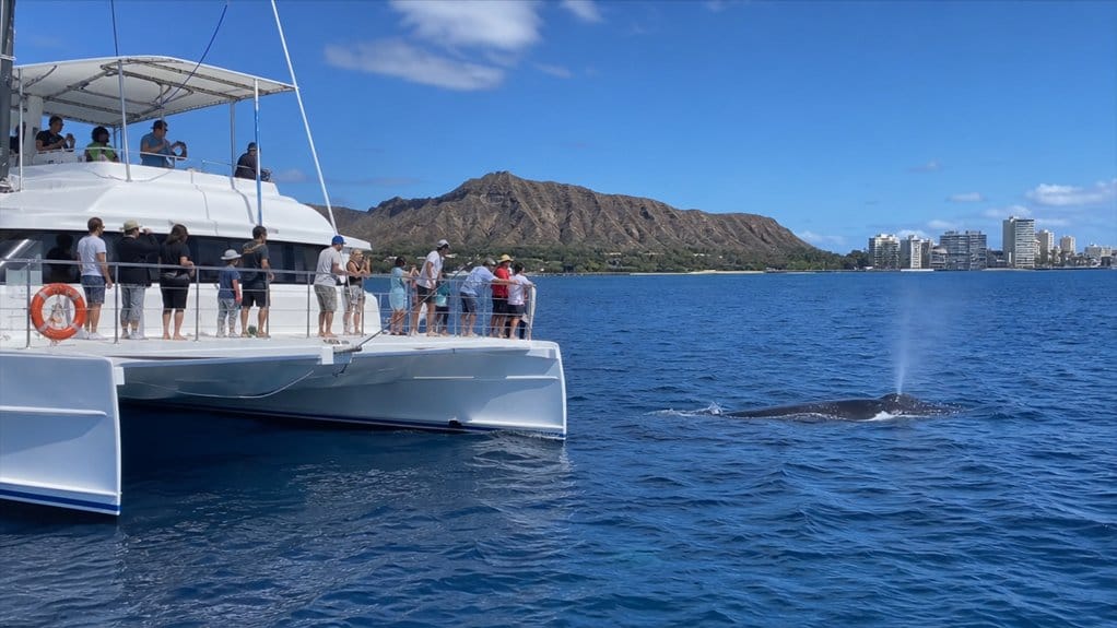 Waikiki Deluxe Catamaran Whale Watch: Boat, Views, and Best Season