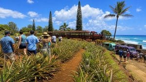 waikiki dole plantation tour combo