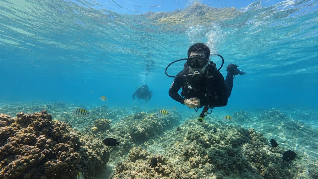 waikiki oahu reef dive trips