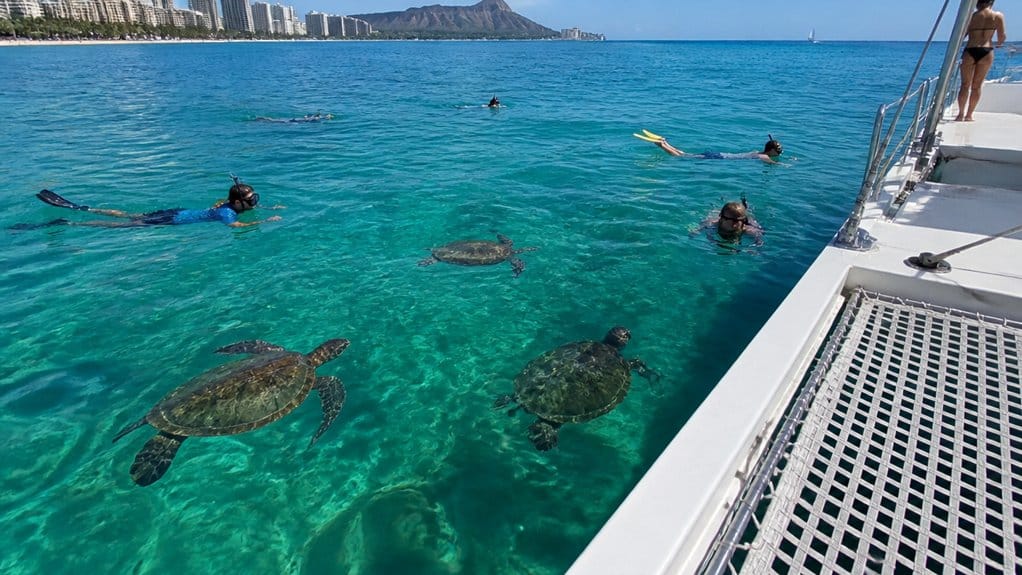 waikiki turtle snorkel guarantee