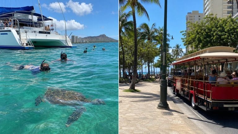 waikiki turtle snorkeling trolley