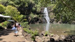 waimea valley waterfall tour tickets