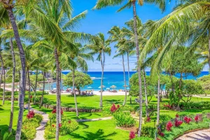An image of the Turtle Bay Villas by Gather property and beachfront villa-style accommodations.