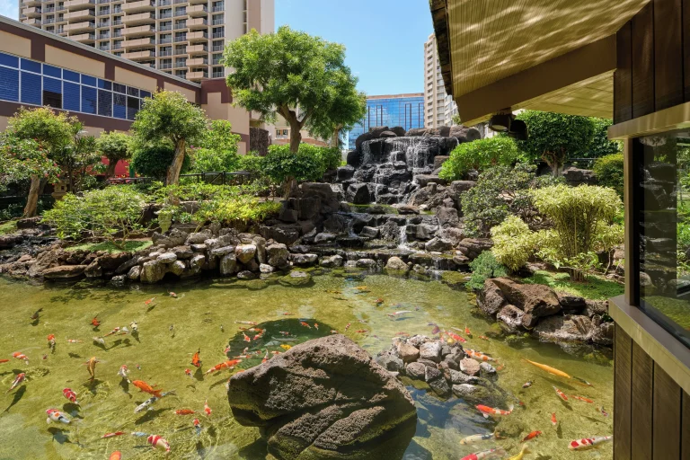 A photo of Pagoda Hotel showing the property and rooms.