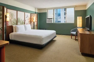 A photo of Pagoda Hotel showing the property and rooms.