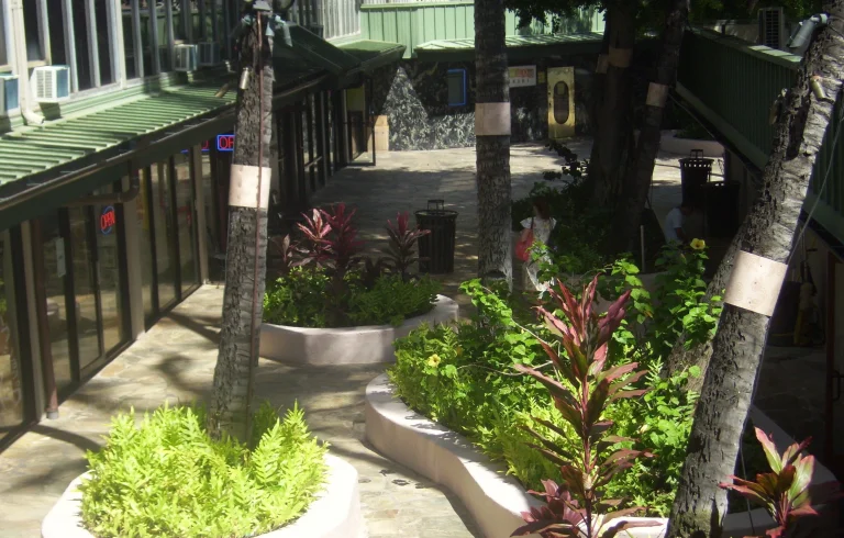 A photo of Kuhio Banyan Club showing the property and rooms.
