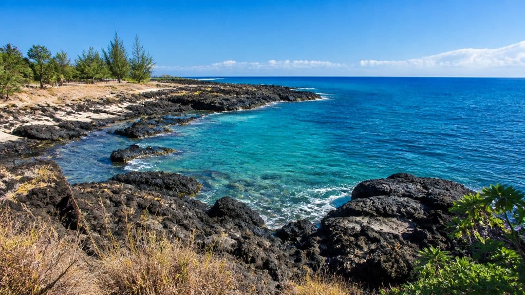 electric beach snorkeling spot