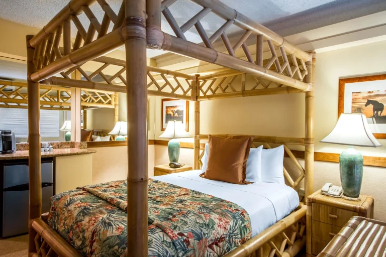 A photo of The Equus showing the property and rooms.