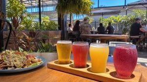 kapolei beer and kombucha
