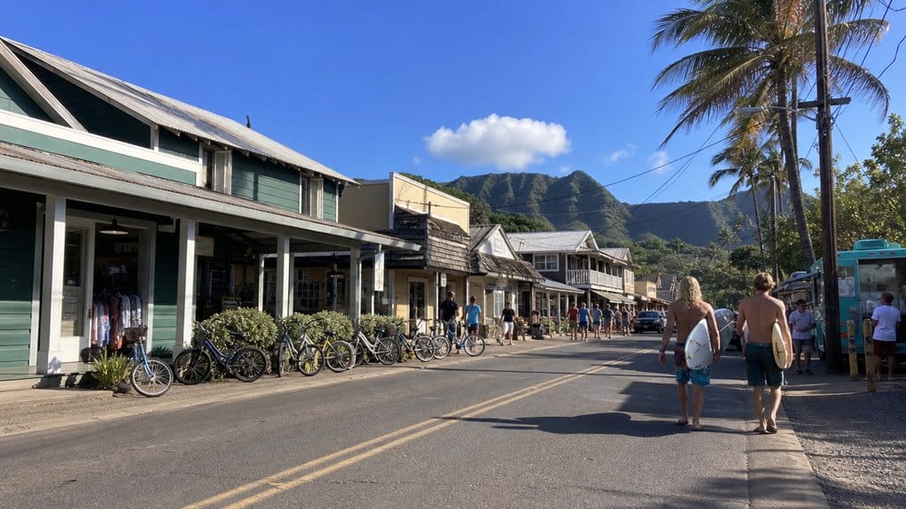 one day haleiwa historic town tour