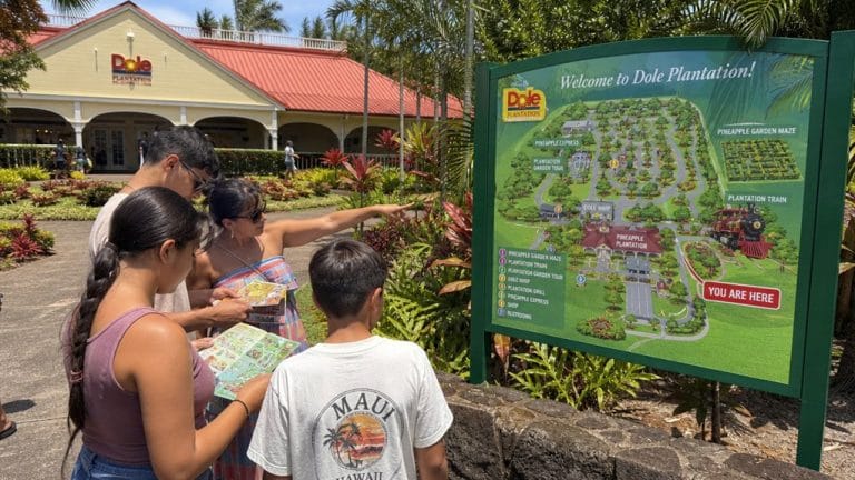 plan your dole plantation visit