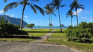 reach kualoa beach shore
