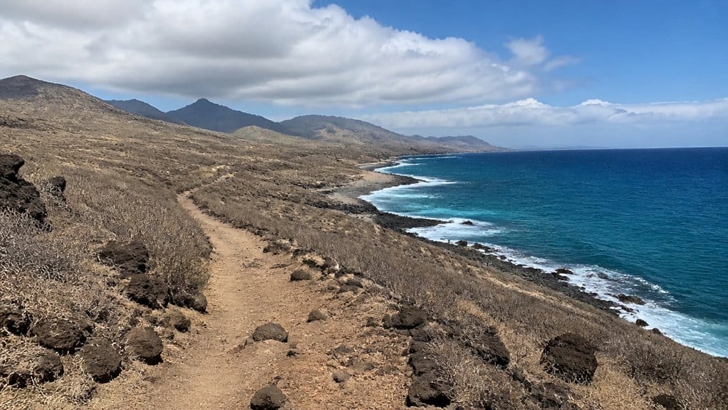 west for views north for seals